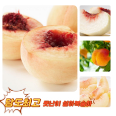 [굿피플] 황금당도 못난이 겨울복숭아 설아복숭아 복숭아, 1개, 못난이 설아복숭아 1kg
