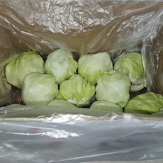 Green one 양상추 샐러드용 3kg(종이박스), 3kg, 1박스