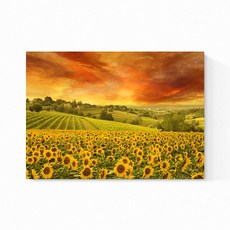 풍수아트 돈들어오는 풍수 해바라기 그림 액자 29종 05.NEW금빛해바라기밭, 캔버스액자