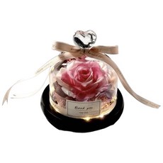 浪漫永生花燈罩組 浪漫系列 禮物 情人節 生日禮物 紀念品, 粉白色