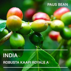 생두대빵 인도 카피로얄 A 생두, 1개, 500g