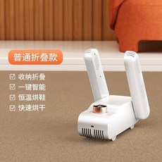 신발 건조기 탈취 살균 기능 냄새제거 5중 슈케어 휴대용, 1, C. 화이트