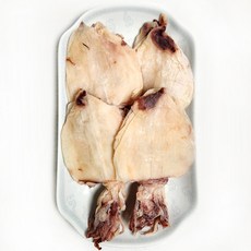 한치 3s 20마리 건한치 마른한치 화살오징어 오징어 쪽빛누리, 20개, 약 250g