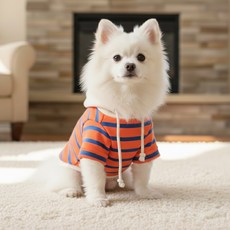 강아지후드티 반려동물 컬러 순면 후드티 애견옷 스트라이프 100%면티 (공장판매), 1개, 오렌지