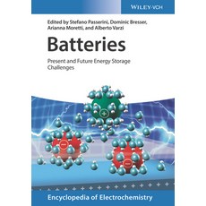 Batteries 2 Volume Set: Present and Future Energy Storage Challenges Hardcover, Wiley-Vch