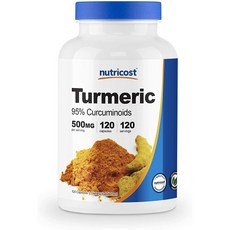 뉴트리코스트 커큐민 강황 커큐미노이드 500mg 120캡슐, 1개, 120정