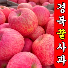 [푸른결] 경북산지직송 고당도Brix A급가정용 사과, 1박스