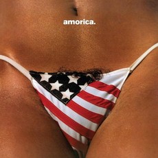 [LP] Black Crowes (블랙 크로우즈) - 3집 Amorica. [10인치 Vinyl + 4LP]