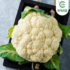 [온도씨]가락시장 당일경매 칼리플라워 약500g, 1개, 500g