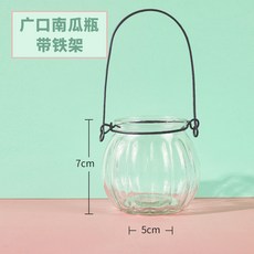 嗨購 透明玻璃花瓶 北歐風客廳裝飾花瓶