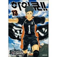 하이큐!! 13, [만화] 하이큐