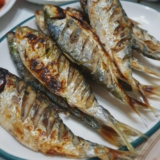 활전어 국내산 구이용전어 500g 1kg 왕전어 자연산 냉동전어, 1개, 국내산 A급 냉동전어500g