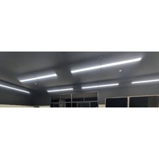 LED全光譜植物燈 高光效一體成型泛光長條燈 5000K, 4尺,黑款-4000LM,5000k全光譜