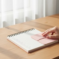 RFS 가리개 단어장 영어원서읽기, 브라운