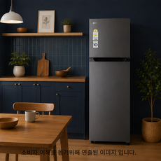 LG전자 B182DS13 189L LG물류직배송 설치 폐가전수거 제주도포함, 실버