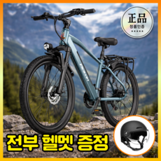 디즈센즈 고성능 전기자전거 전동자전거 자토바이 출퇴근 전동바이크 배달 경량스틸, 블루 30ah