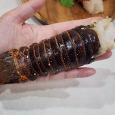 [1+1] 실속 고급 스파이니 랍스터 테일 1미 맛있는 밥상