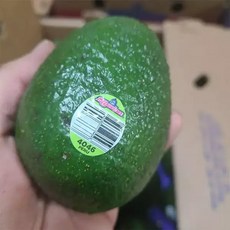 수입산 생 아보카도 20과, 1개, 1kg