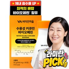비타민마을 수용성 커큐민 바이오페린 45g, 90정, 1개