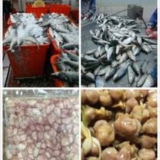 SGS 饕客系列 真空包 虱目魚胗 300g/包, 1個