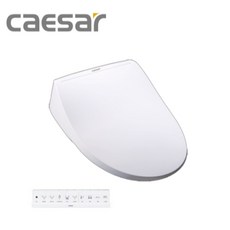 CAESAR 凱撒 瞬熱式電腦馬桶座 TAF220 無線遙控 不鏽鋼噴嘴