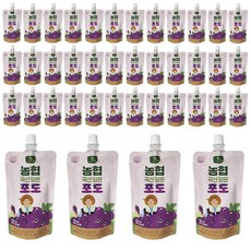 농협 100% 국산 담은 포도 음료, 40개, 100ml