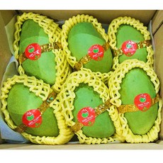 [비엠케이] 베트남 그린망고, 1박스, 2.5kg 내외 (케오)