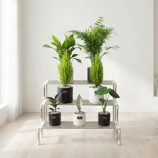 DAMDA 스텐 계단식 화분정리대 3단 화분선반 정리 받침대