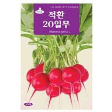 적환 20일무 씨앗 무씨 600립, 2개