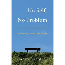 No Self No Problem : Awakening to Our True Nature, Shambhala