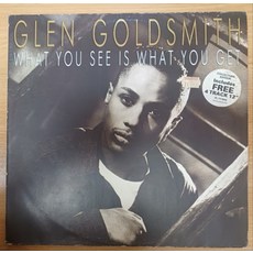 중고LP) Glen Goldsmith(골렌 골드스미스) – What You See Is What You Get (자켓EX/앨범EX+) 2LP