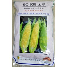 金順 SC-939 超甜玉米種子一代交配 耐熱 耐雨 抗病, 1包