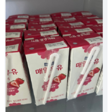 매일우유 가공유 멸균 딸기 우유 200ml, 44개