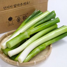 국내산 울팜 절단대파, 1개, 1kg