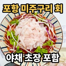 포항 미주구리회 야채 초장 포함 회무침 물가자미 기름가자미, 1세트, 회 300g + 야채 250g + 초장
