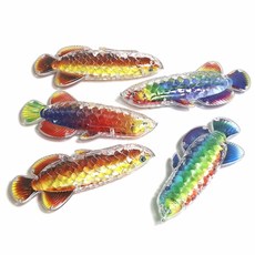 빅사이즈 카프 물고기 5p 자석 낚시놀이 낚싯대용, 5개