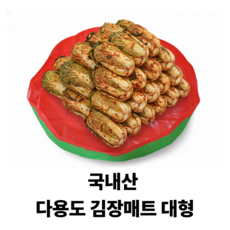 오디엘 국내산 무봉제 무독성 다용도 김장매트 대형사이즈, 1개