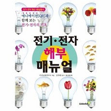 전기 전자 해부 매뉴얼:전기 전자 개념 사용설명서, 골든벨, 이과교육연구소 저