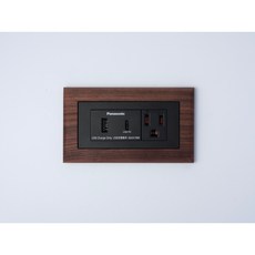 Panasonic國際牌Risna磁吸式黑胡桃木框開關插座面板蓋板【快速出貨】, 1個, typeC+USB加插座（黑