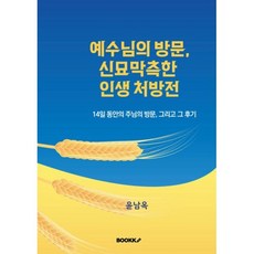 예수님의 방문 신묘막측한 인생 처방전 : 14일간의 주님의 방문과 그 후기, BOOKK(부크크), 윤남옥 저