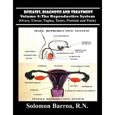 (영문도서) Diseases Diagnosis and Treatment Paperback, Createspace Independent Pub..., English, 9781489541932