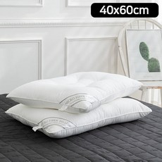 배개 다운필 경추 베개솜 40x60cmbel74zzt