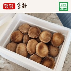 [햇담송] 국내산 친환경 햇담송화 가정용 정품중급 송이향 송고 송화고버섯, 1박스, 중상급 대형마트급 1Kg