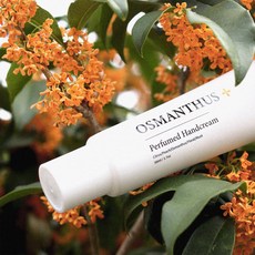 BELLEMENT 금목서 핸드크림 50g 395262, 1개