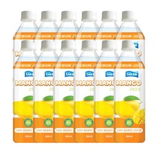 RFC 저온 살균 망고 주스 100%, 12개, 500ml