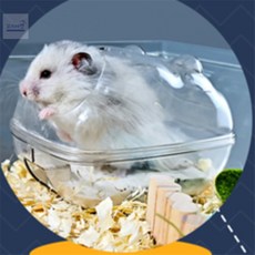 니즈플리 투명디자인 햄스터모래통 플라스틱햄스터집 미니햄스터집 햄스터투명집 햄스터목욕모래통, 소