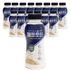 웰프로틴 그레인, 15개, 40g