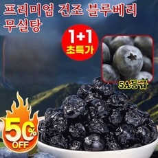 (5A등급)1+1 타이완산 특급 무설탕 블루베리 건조과일 대형 킹사이즈 블루베리 유기농 건블루베리, 100g/봉지*2