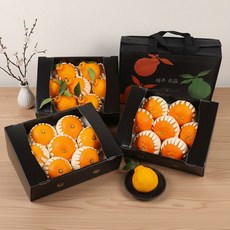 이룸팜스 제주 한라봉 천혜향 레드향 고급/명품 선물세트, 제주 천혜향 고급/명품 선물세트, 제주 천혜향 고급 3kg(중향/13-18과)