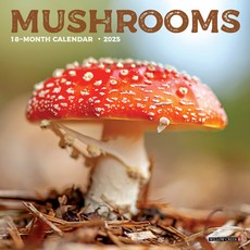 (영문도서)Mushrooms 2026 7 X 7 Mini Wall Calendar Spiral, Willow Creek Press Calendars, English, 9781549253652